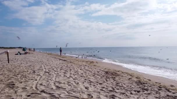 Martılar Karadeniz Kıyılarına Yakın Uçarlar Bir Kadın Yazın Deniz Sahilinde — Stok video