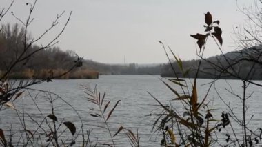 Sonbahar akşamı Yagorlyk nehrinin manzarası