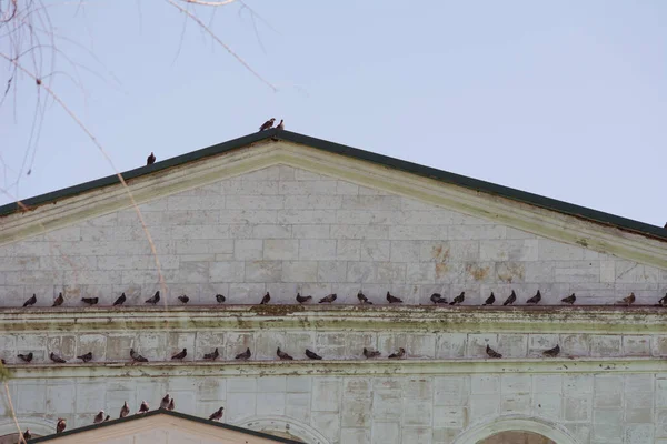 Pigeons Roof House Culture Park Moldova — стокове фото