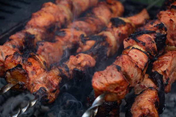 Kebap. Kırmızı soslu, kırmızı biberli ve soğanlı iştah açıcı şiş kebap ızgarada pişirilir. Seçici odak, yüzeysel alan derinliği