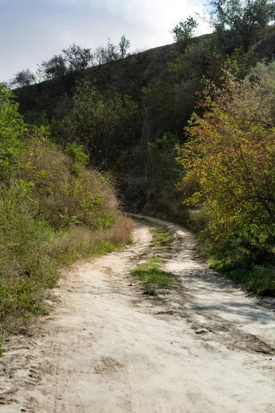 Dağ Çalılıklarında Yol Tepelere Yamaçlara Giden Yol — Stok fotoğraf