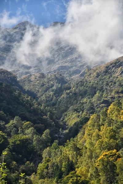 Der Kopf Des Alta Valle Elvo Eines Grünen Tals Westlichen — Stockfoto
