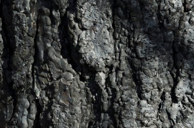 Ahşap dokular, orman yangınıyla yanmış odun. Kara odun kömüre dönüştü.