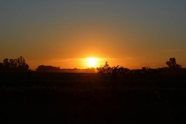Sahada turuncu gün batımı, yoğun ışıklandırma. gün batımı