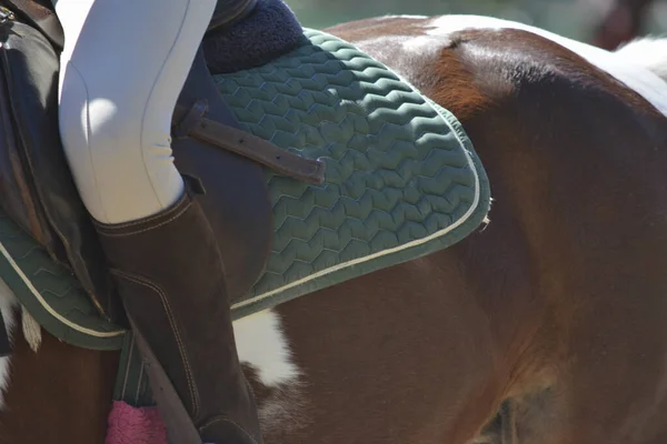 Cavaleiro Cima Cavalo Com Botas Sela Para Fazer Show Jumping — Fotografia de Stock