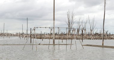 Terk edilmiş hamak, epecuen selinde terk edilmiş çocuklar için oyun