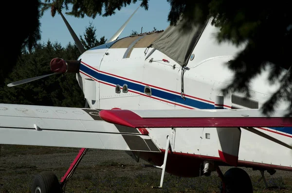 Pervaneli Uçak Burnu Pervaneli Büyük Bir Uçak — Stok fotoğraf