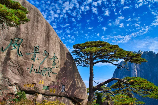 Huangshan Ulusal Parkı 'nın girişindeki karşılama çamı. Huangshan Dağı manzarası (Sarı Dağ). UNESCO Dünya Mirası Alanı. Anhui Eyaleti, Çin.
