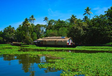 Kayıkhane nehirde yelken açıyordu. Su Bougainvillea ile dolu. Kerala 'daki kayıkhane (Kettuvallam olarak bilinir), Hindistan' ın güneybatısında. 2018