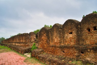 Thanjavur 'daki antik tapınaklardan biri olan Tamil Nadu, Hindistan' daki Brihadeeswarar Tapınağı manzarası.