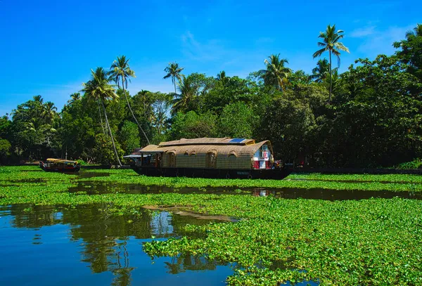 The boathouse was sailing on the river. The water is filled with Bougainvillea. Boathouse in Kerala backwaters (known as Kettuvallam), southwestern India. 2018