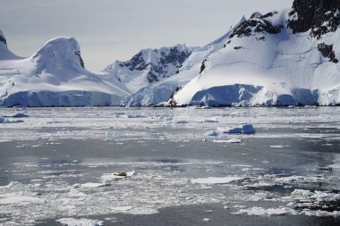 Antarktika Yarımadası, Pleneau Adası 'nda yaz mevsimindeyiz. Penguenler, balinalar, buzdağları, buz kütleleri, buzullar, okyanuslar, radyoaktif bulutlar ve güneş ışığı var. Bu elementler birleşerek çeşitli manzaralar oluştururlar..