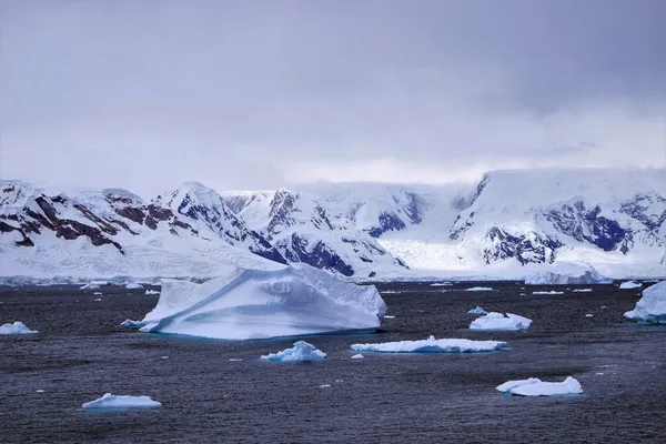 南极洲的门户点满是海和冰山 游客们可以踩在厚厚的冰原上 体验极地气候的自然景观 — 图库照片