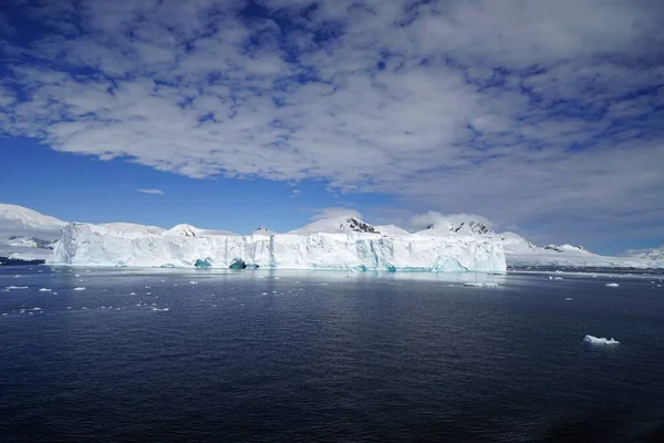 Nyár Antarktisz Félszigeten Pleneau Szigetén Van Vannak Pingvinek Bálnák Jéghegyek — Stock Fotó