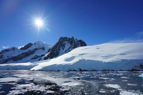 Este Verão Pleneau Island Península Antártica Pinguins Baleias Icebergs Bancos — Fotografia de Stock