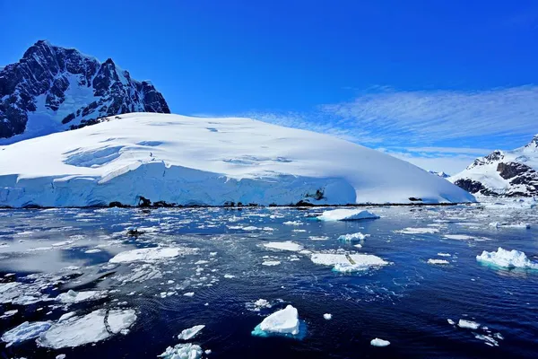 Det Sommar Pleneau Island Antarktiska Halvön Det Finns Pingviner Valar — Stockfoto