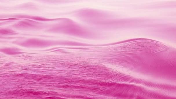 Fondo Ondulado Rosa Nivel Del Mar Mueve Suavemente Forma Una — Vídeos de Stock