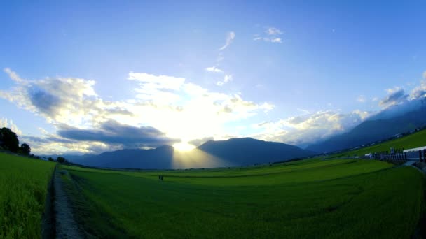 Raio Crepuscular Nuvens Brancas Campos Arroz Combinados Pitorescos East Rift — Vídeo de Stock