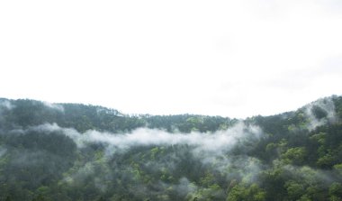 Bulutlar, güneş ışığı ve yeşil ağaçlar puslu bir dağ manzarası oluşturur. Dağ ormanı sabah manzarası. Wuling Çiftliği, Taichung Şehri, Tayvan. 2022.