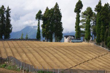 Çiftlik sabanı, çiftlikte bir parça toprak. Yan tarafta yeşil ağaçlar var. Sebze yetiştirmek için kullanılan dağdaki tarım arazisi. Lishan, Tayvan.