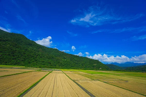 Green Rice Fields Blue Sky White Clouds Mountains Idyllic Paintings — Fotografia de Stock