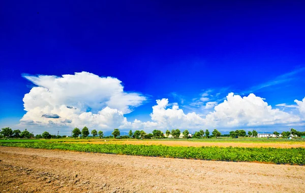 Céu Azul Nuvens Brancas Culturas Verdes Paisagem Campo Rural Terra — Fotografia de Stock