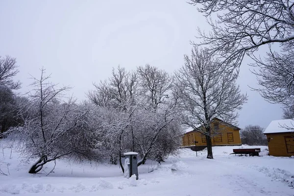 Ледяные Ветви Деревьев Деревянные Дома Зимой Крепость Суоменлинна Свеаборг Является — стоковое фото
