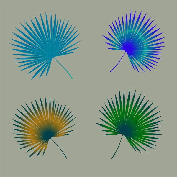  Palmiye yapraklarını renklendirir. 