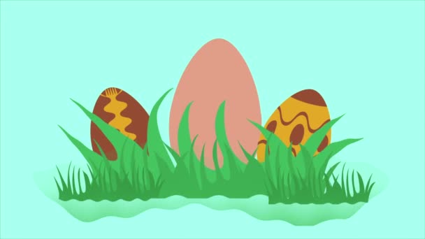 Easter Bunny Easter Eggs — Stock Video