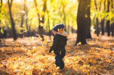Sonbahar yapraklarında oynayan çocuk