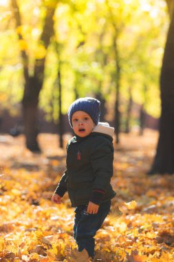 Sonbahar yapraklarında oynayan çocuk