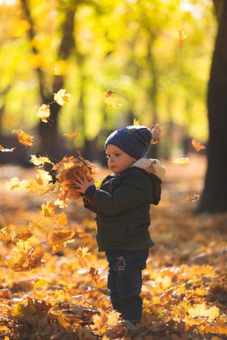 Sonbahar yapraklarında oynayan çocuk