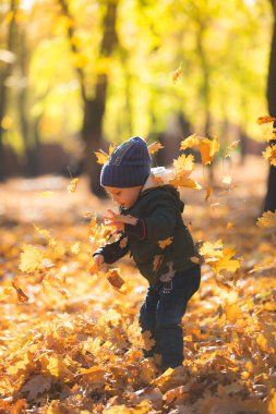Sonbahar yapraklarında oynayan çocuk
