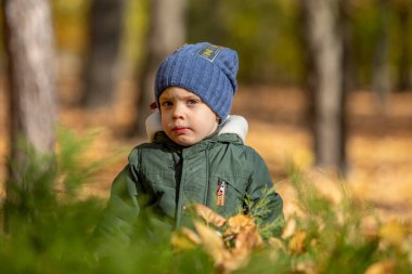 Sonbahar yapraklarında oynayan çocuk
