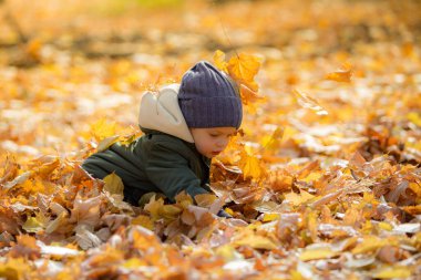 Sonbahar yapraklarında oynayan çocuk