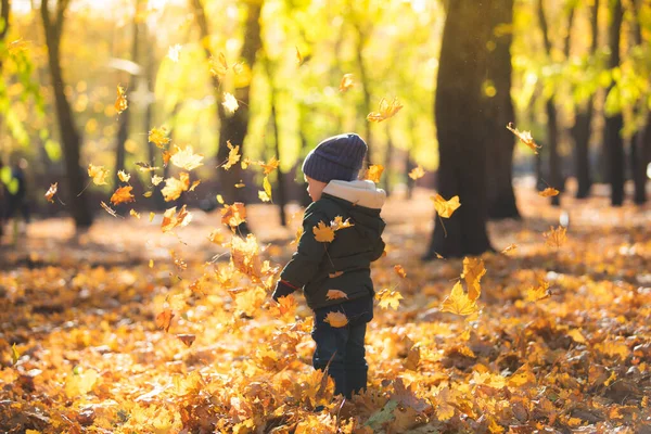 Menino Brincando Folhas Outono — Fotografia de Stock