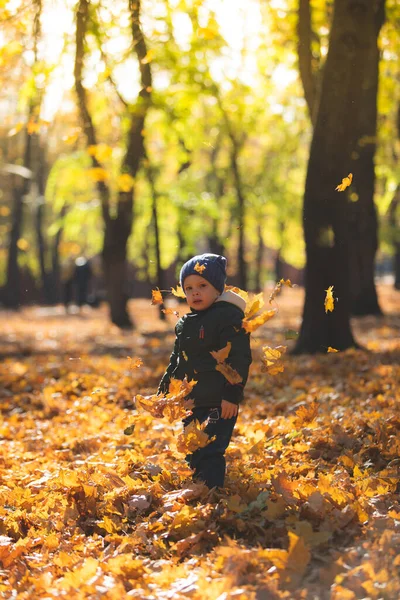 Boy Playing Autumn Leaves — Stock Photo, Image