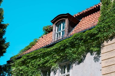 Polonya 'daki herhangi bir sarayda - Haziran - herhangi bir köyde bulunan bir park kompleksi ve çiftlik binası olan bir saray.