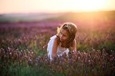 Beyaz İspanyol kız gün batımında lavantanın arasında oynuyor.