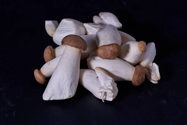 Pleurotus eryngii is an edible mushroom native to Mediterranean regions of Europe but also grown in many parts of Asia