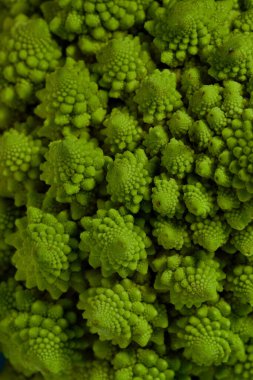 Roma karnabahar, Brokolo Romanesco, Romanesk karnabahar, Brassica oleracea olarak da bilinir.