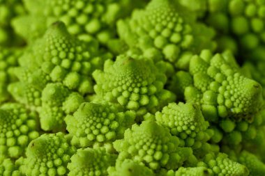 Roma karnabahar, Brokolo Romanesco, Romanesk karnabahar, Brassica oleracea olarak da bilinir.