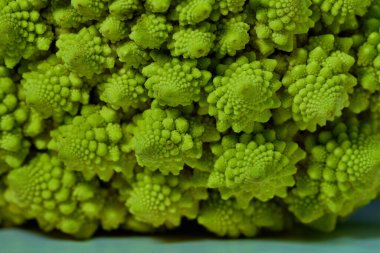 Roma karnabahar, Brokolo Romanesco, Romanesk karnabahar, Brassica oleracea olarak da bilinir.