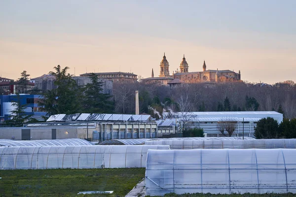 Pamplona, Navarra Spain january 16 2022, View of the cathedral from the Magdalena greenhouse area — стокове фото