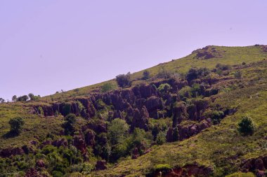 Santander, Cantabria İspanya 8 Temmuz 2020, Cabarceno doğal parkındaki orman manzarası. Yüksek kalite fotoğraf