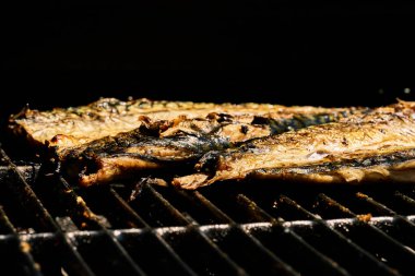 Verdel mangalı ya da ızgarada baharatlı uskumru balığı. Yüksek kalite fotoğraf