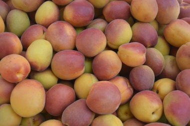 Taze Kayısı Arkaplanı. Çok lezzetli görünüyor.