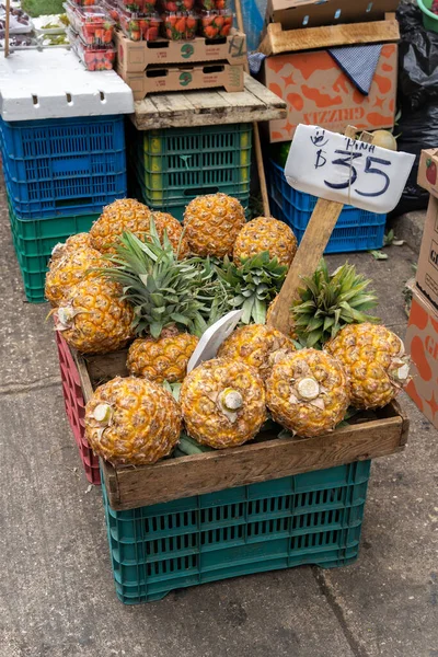Ananas Affichés Sur Marché Avec Panneau Avec Prix Monnaie Locale — Photo