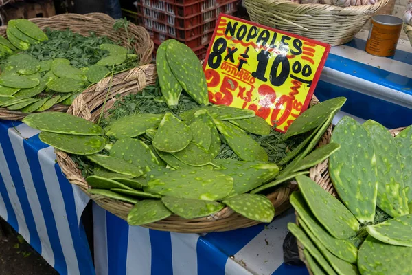 Meksika 'da satılık taze nopales veya kaktüs, insan yok.