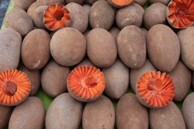 Taze Mamey Sapota meyvesi. Meksika, Oaxaca 'daki bir markette sergileniyor.